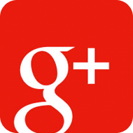 Google+